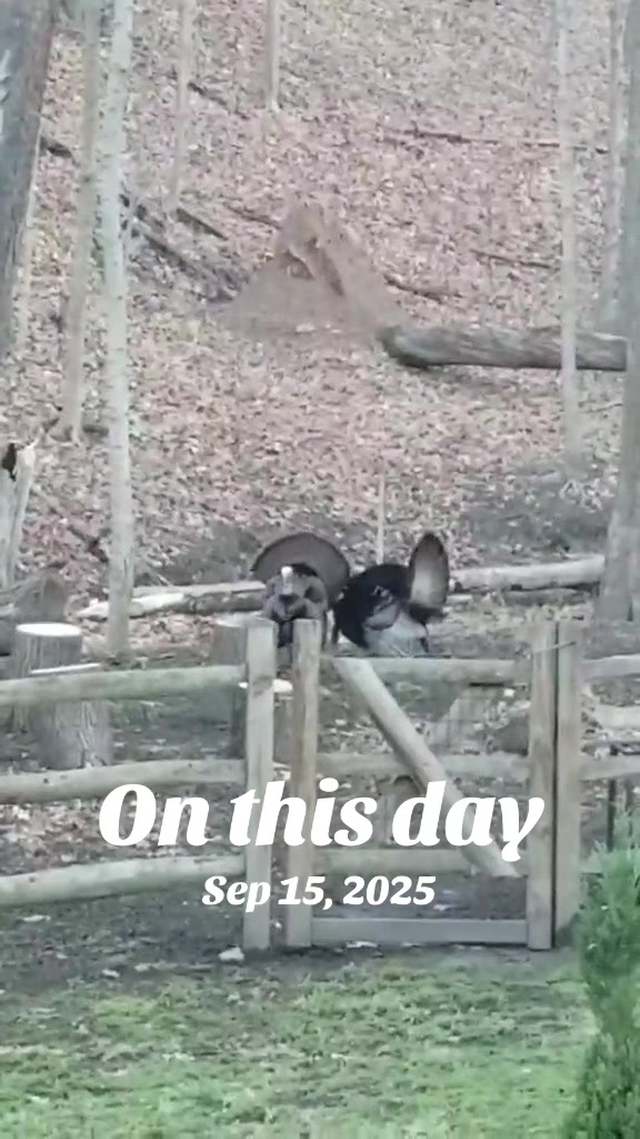 @Just_Debbie 🏹