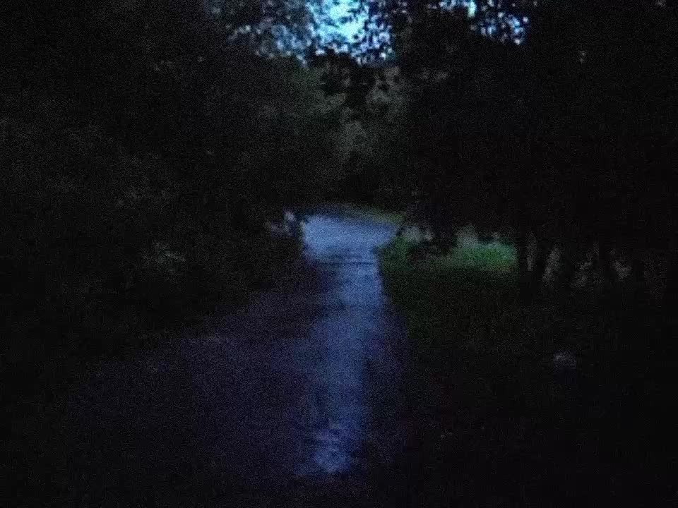 @Безысходность