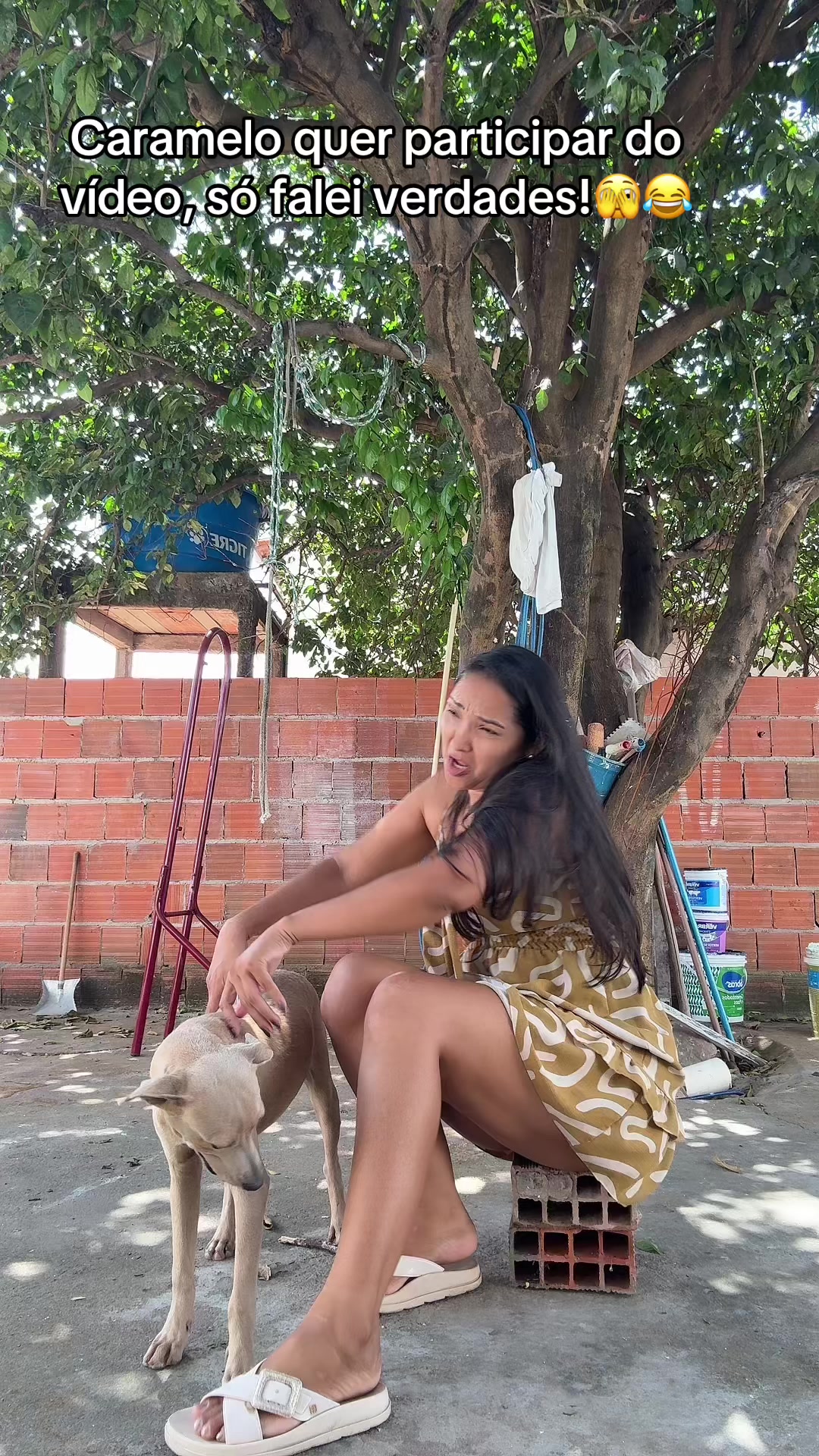 @Nair.rodrigues