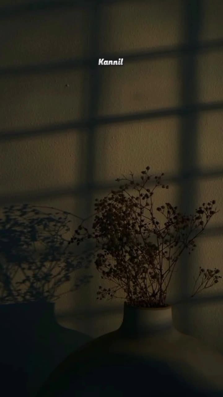 @♠︎ʙʟᴀᴄᴋ ʟᴏᴠᴇʀ♠︎
