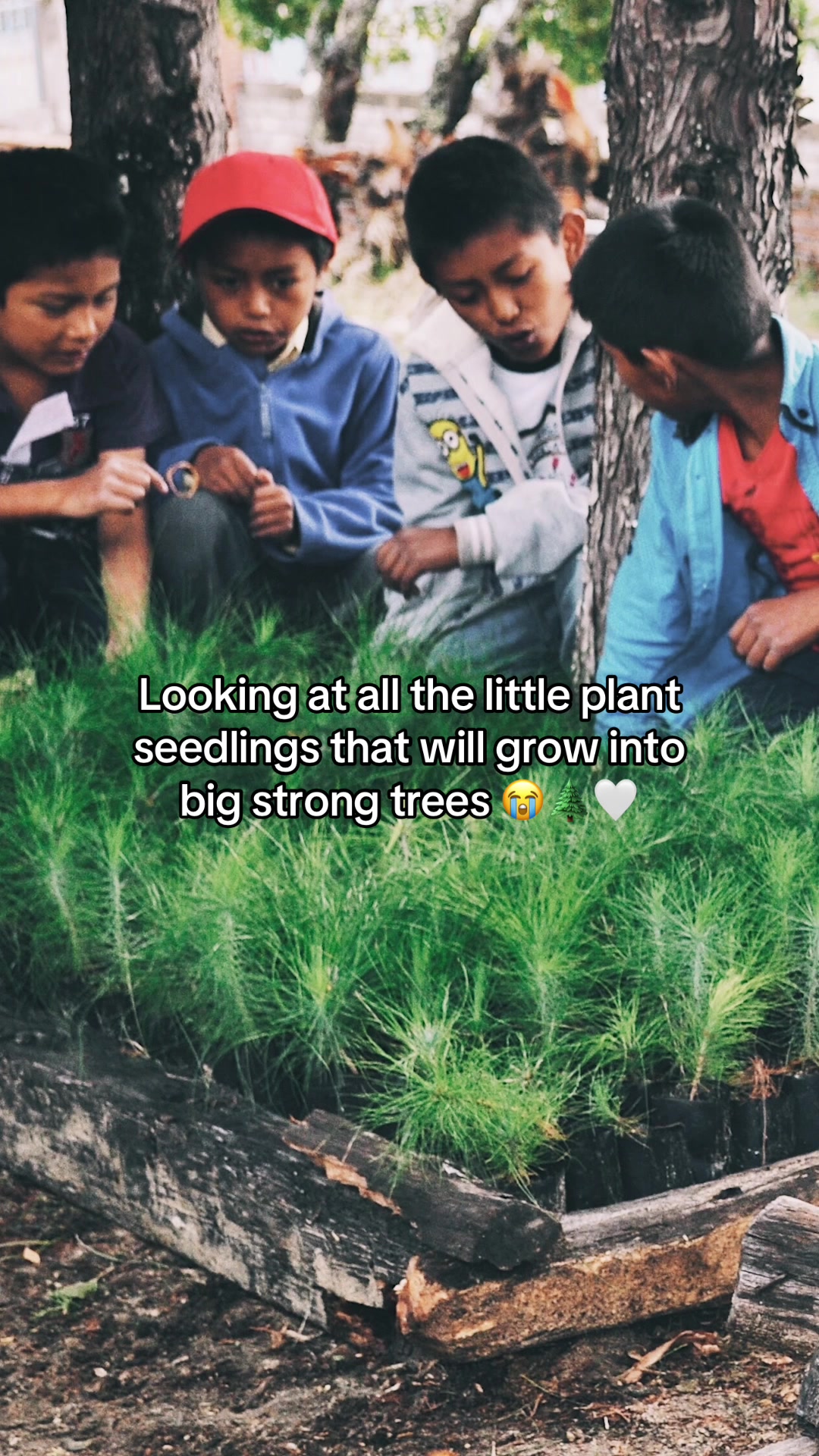 @Plant With Purpose