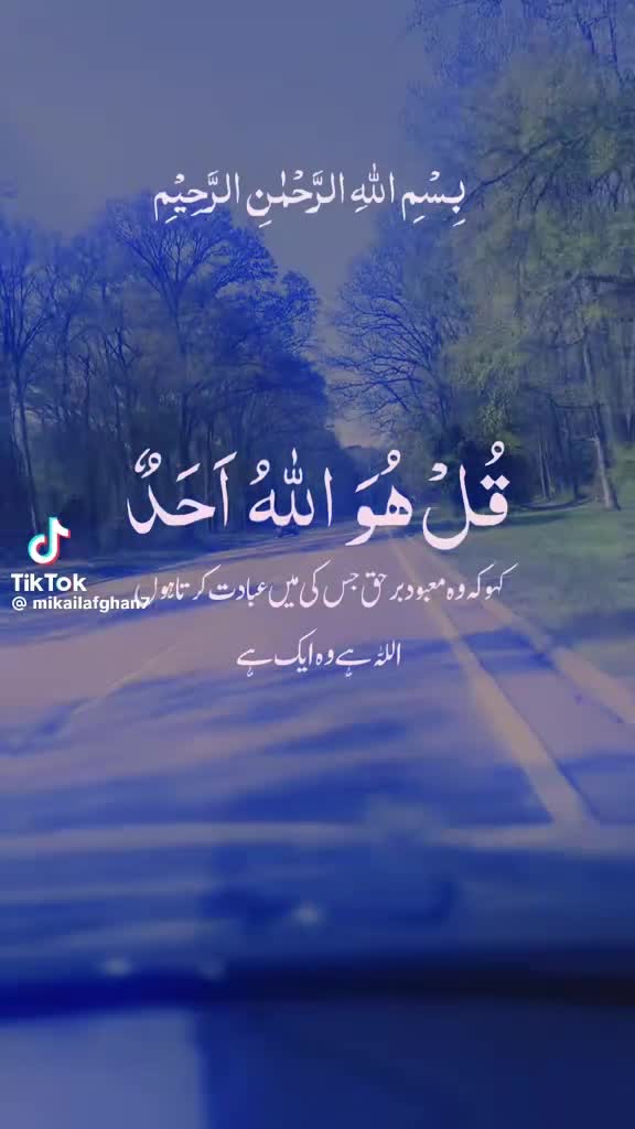 @Syeda Mujahid