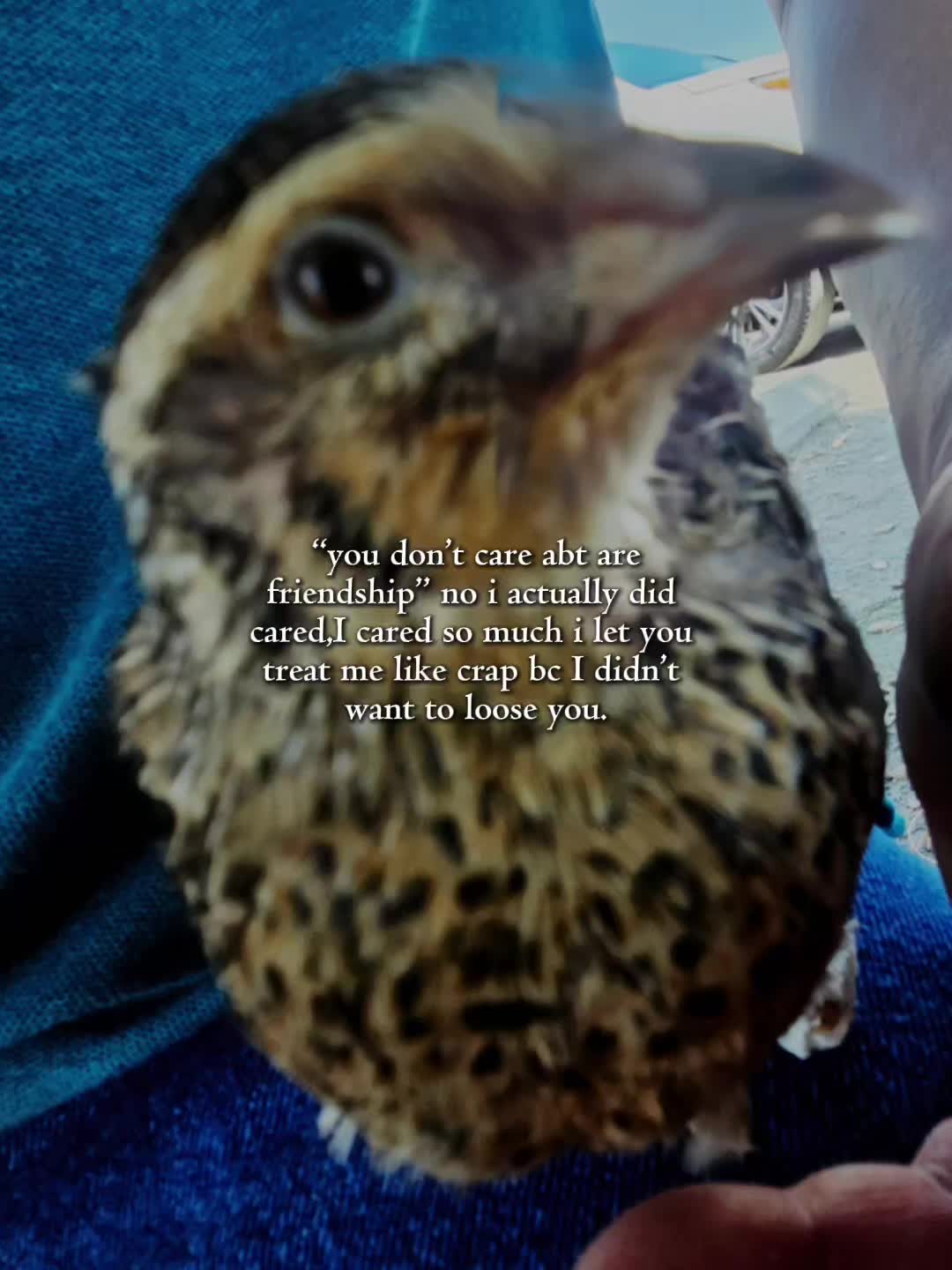 @birdlover123:)