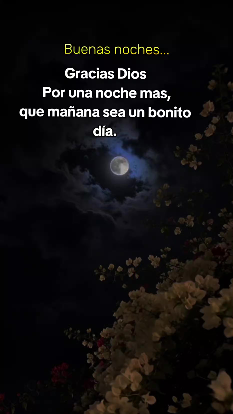 @🎀🫧𝕍𝕖𝕣&oacute;𝕟𝕚𝕔𝕒🫧🎀