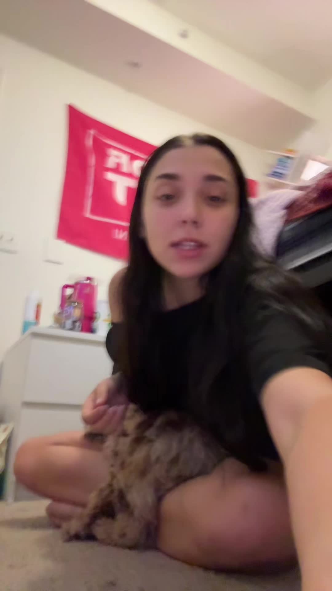 @lex