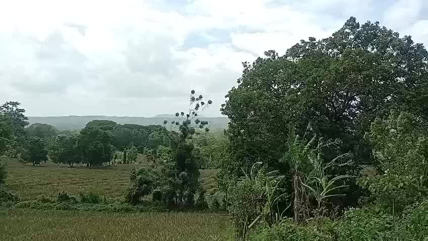 @Jairo Orozco