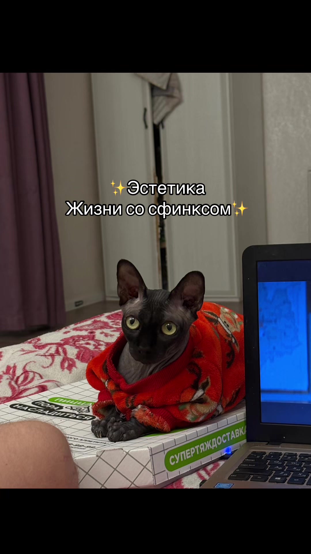 @Настя Я 🧟♀️