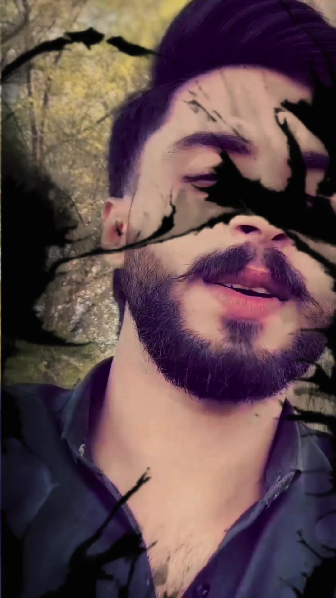 @🕊️🕷️
