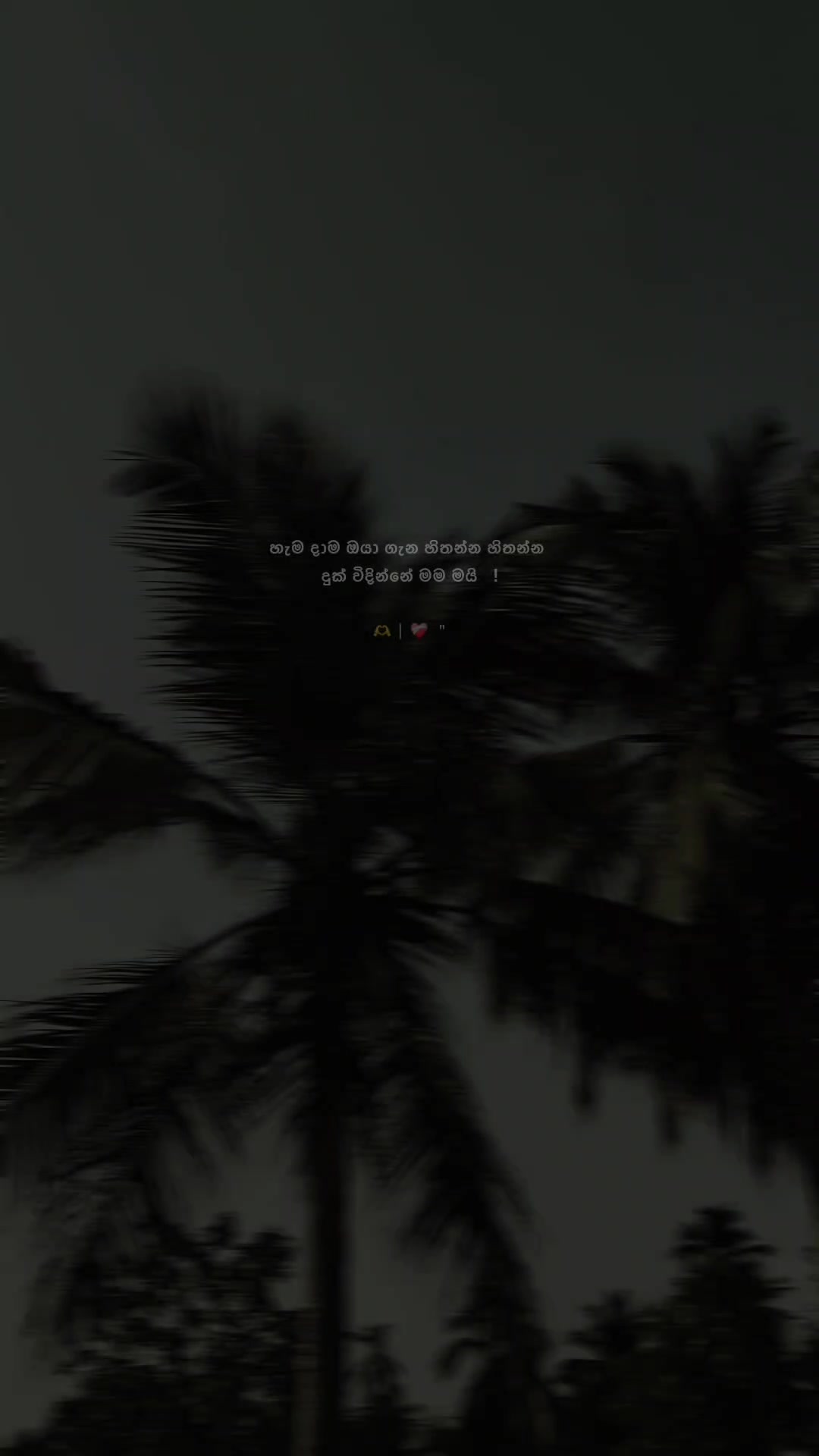 @๐๐๐ผ๐ฑ๐ต๐๐ฎ ๐๐ค
