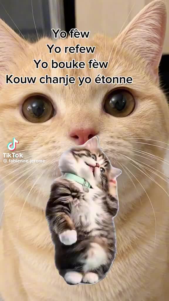 @vivi@1950