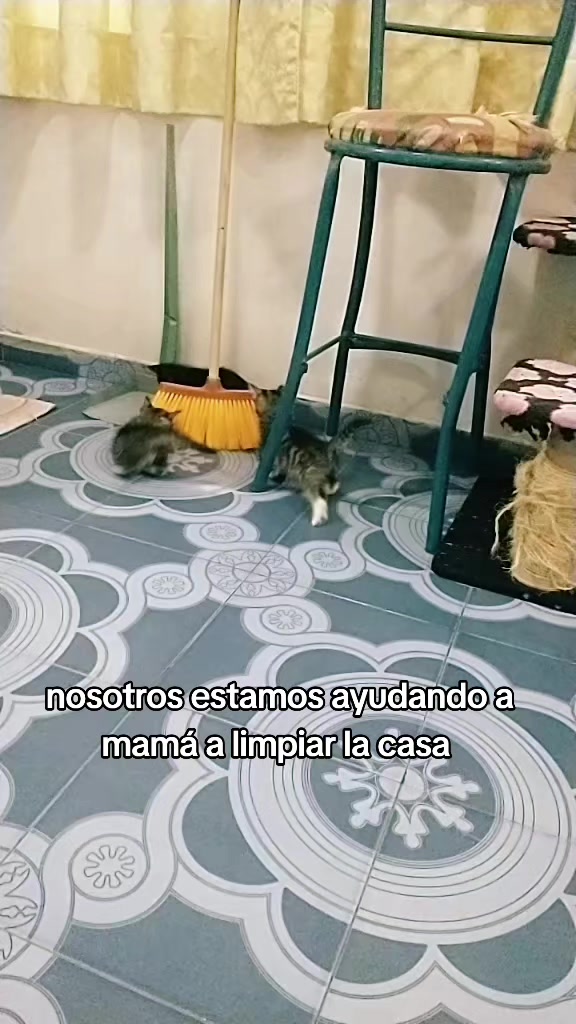 @petuchis