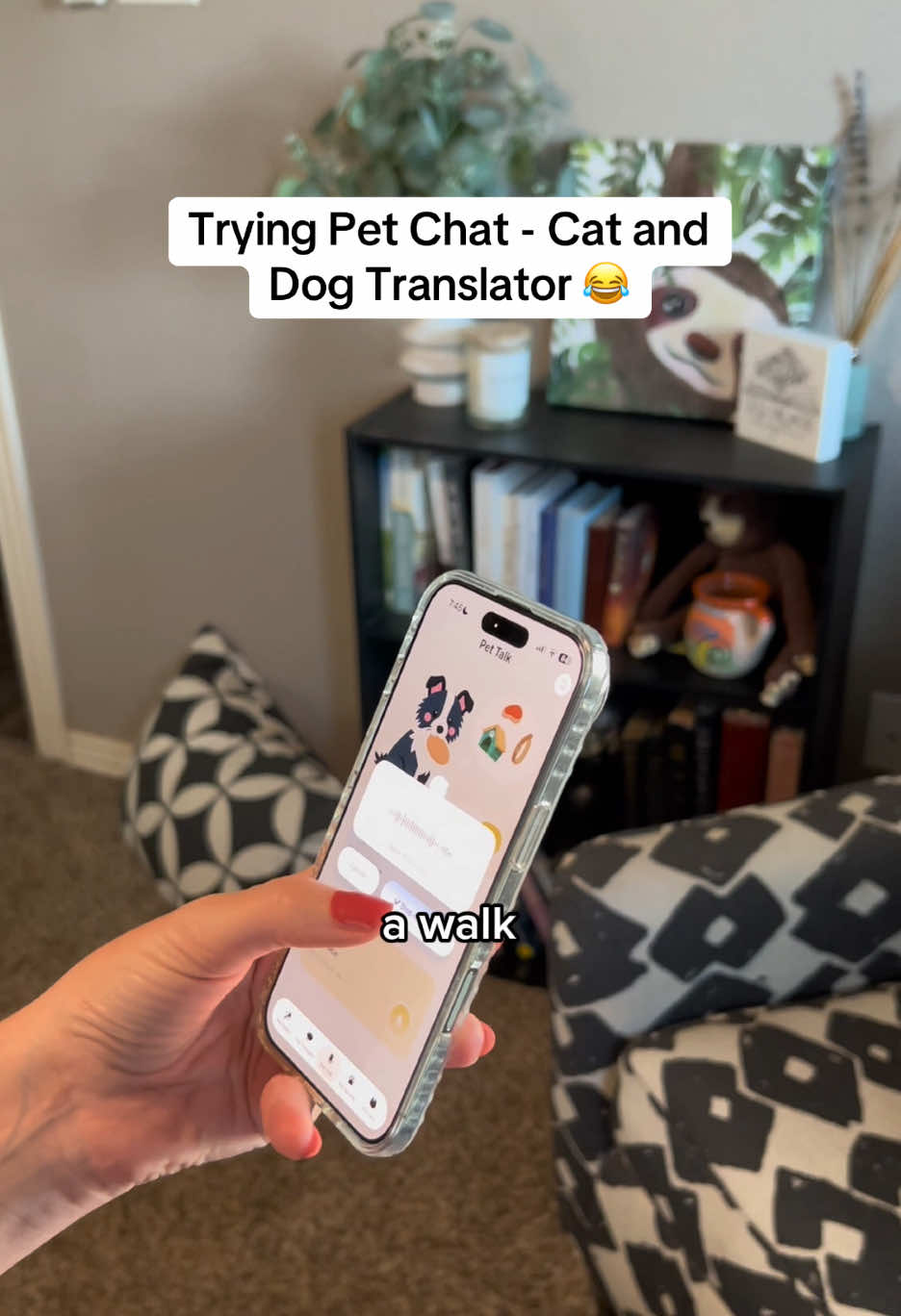 @taylor