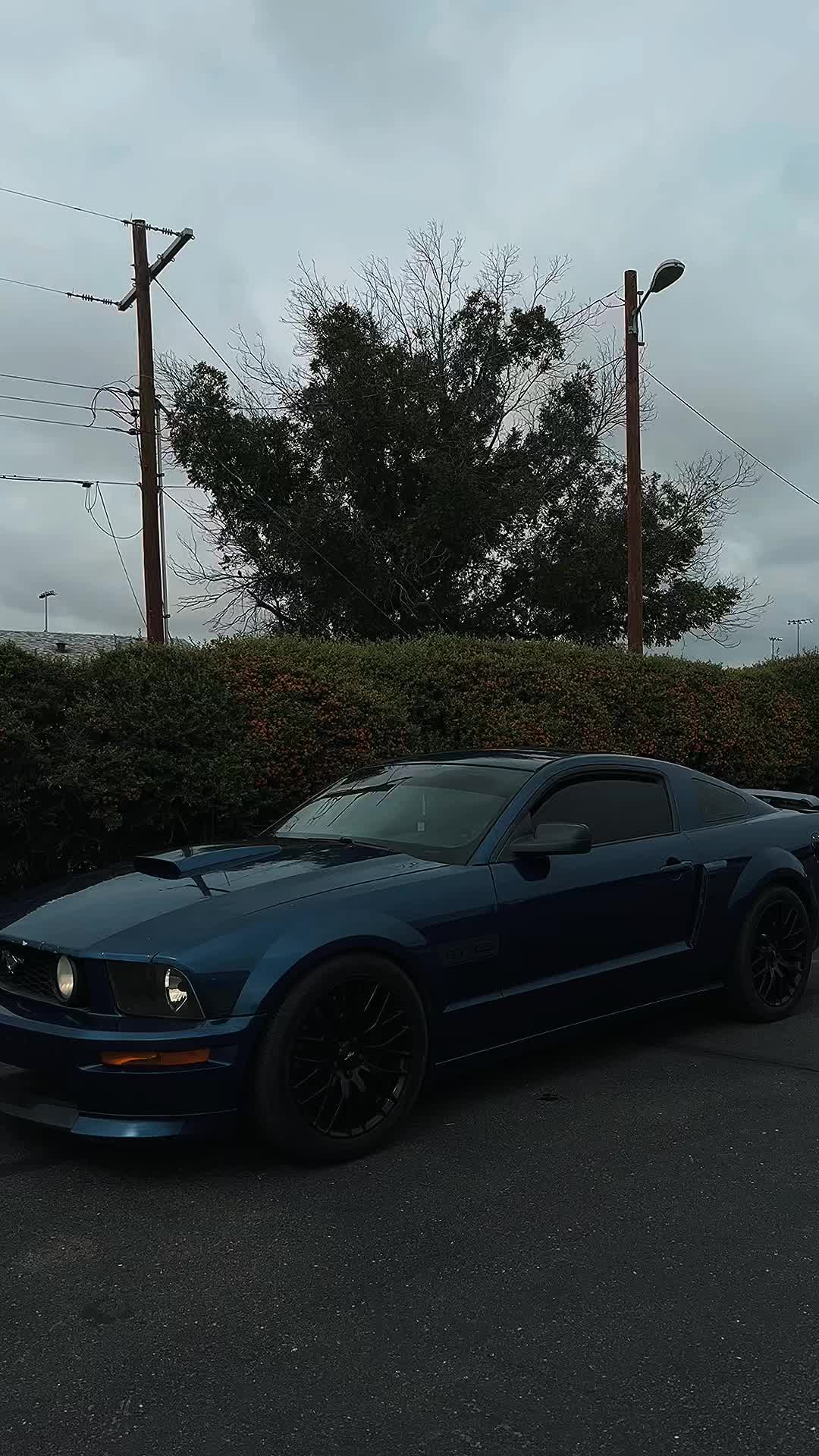 @Jointkilla710