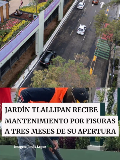 @Periódico Excélsior
