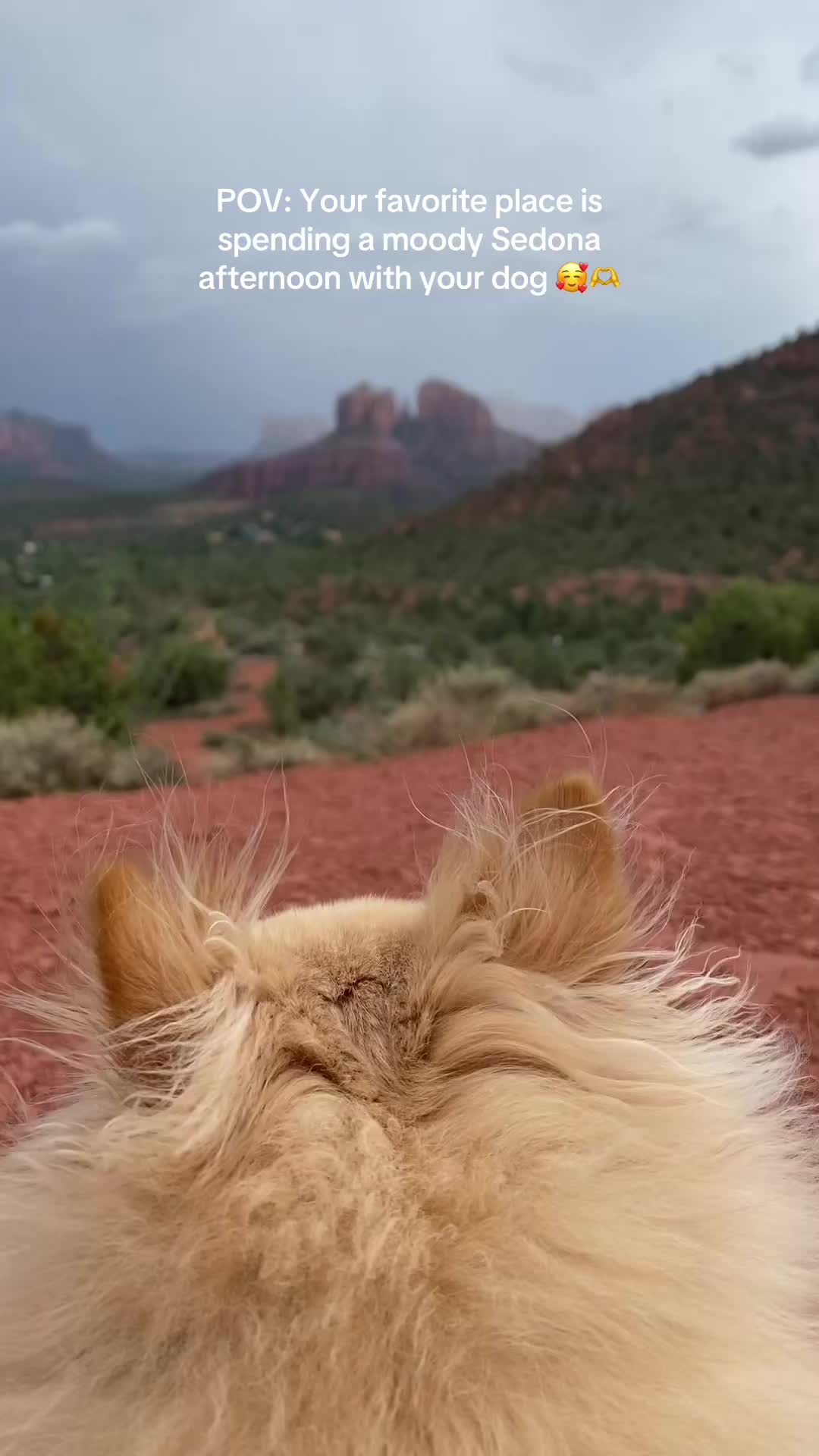 @keliisa🌵✈️