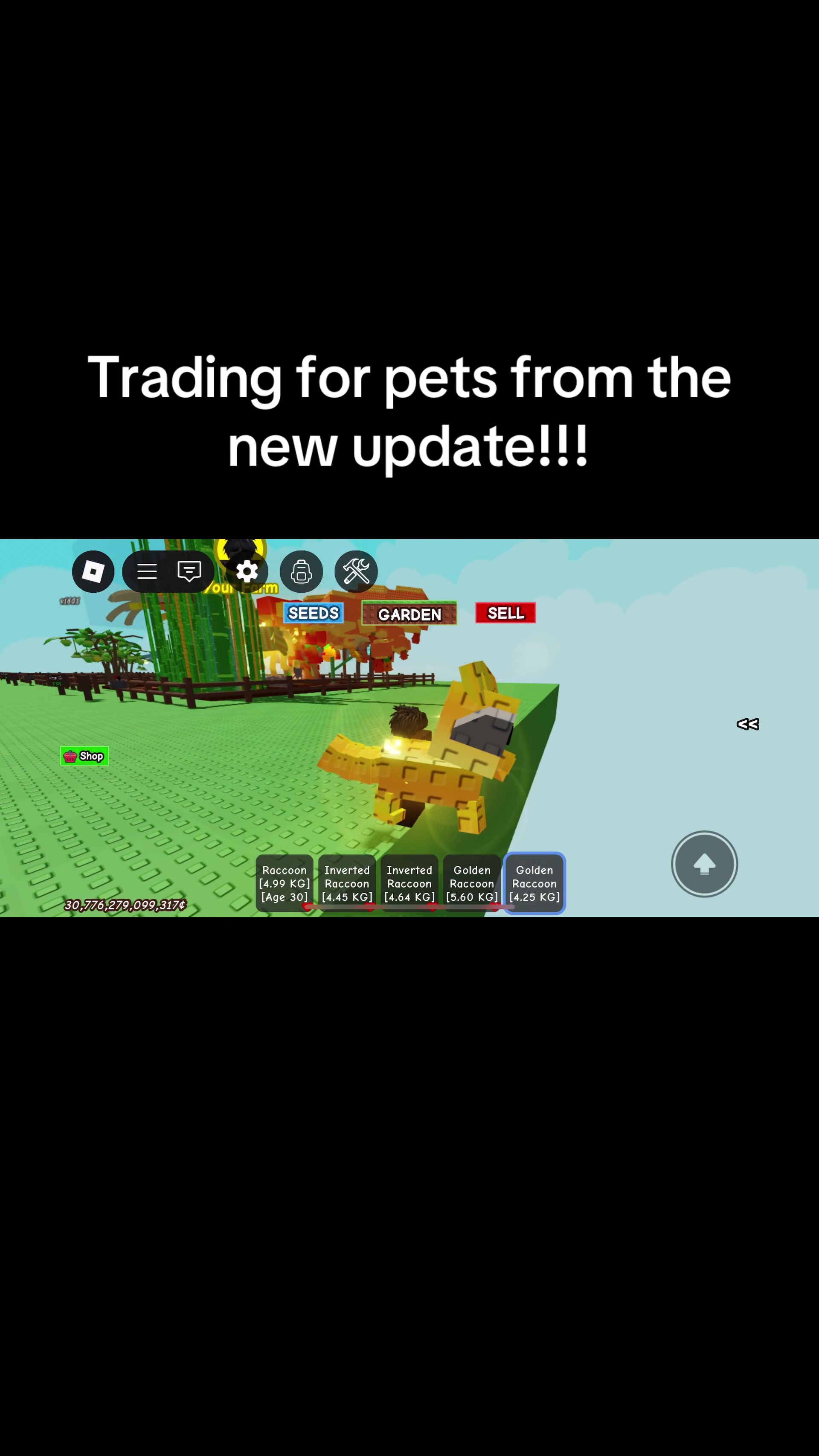 @Gag trader