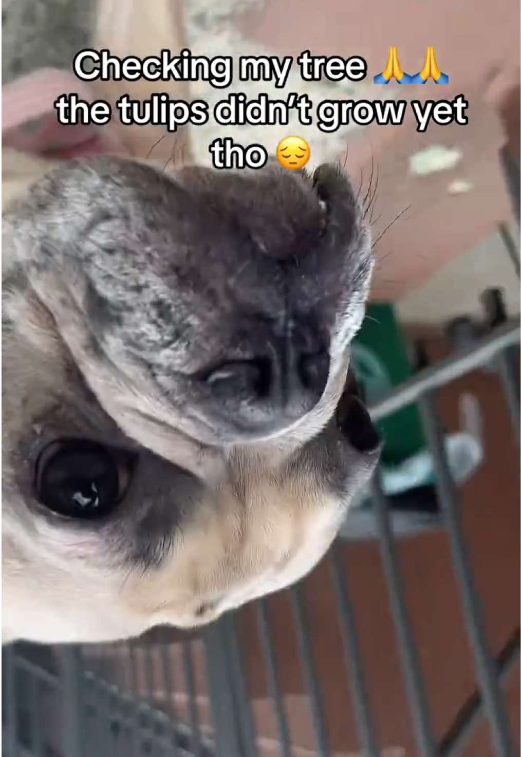 @CJ