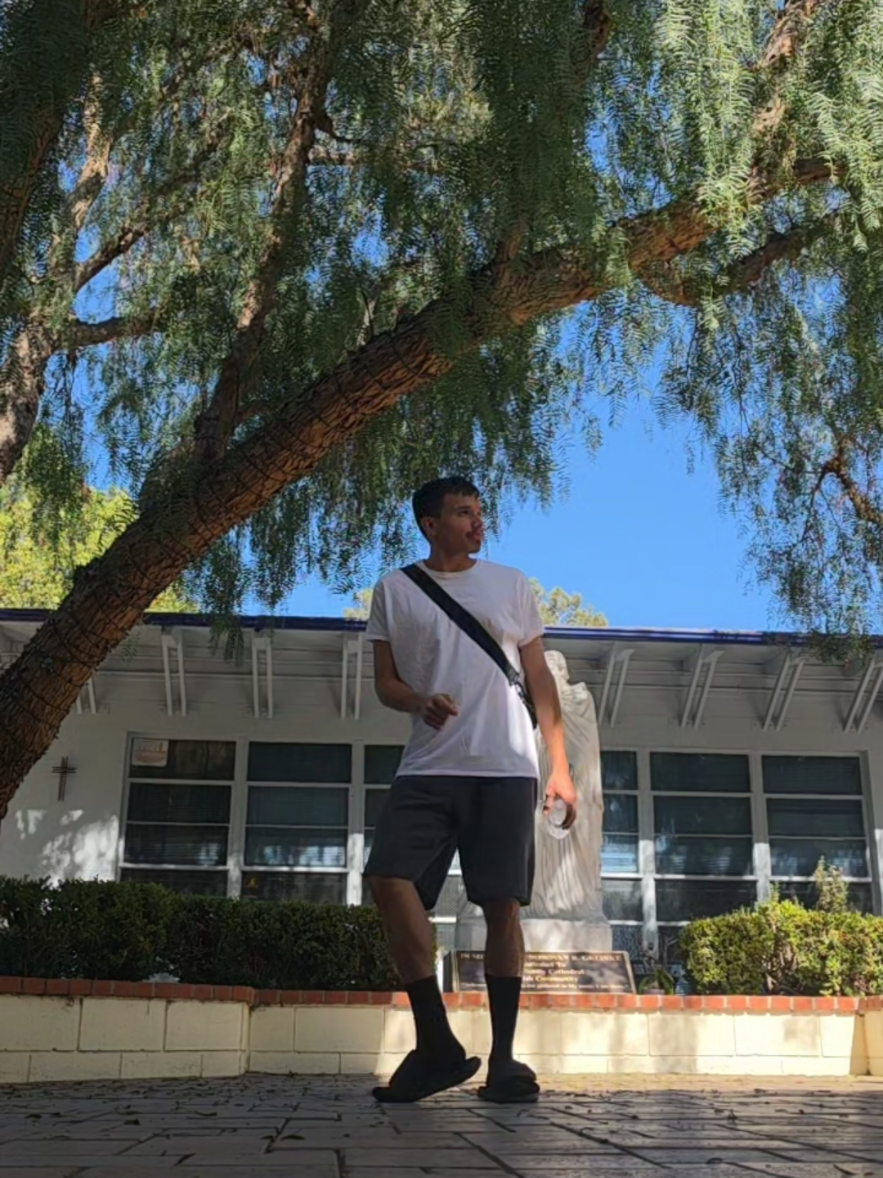 @GVO