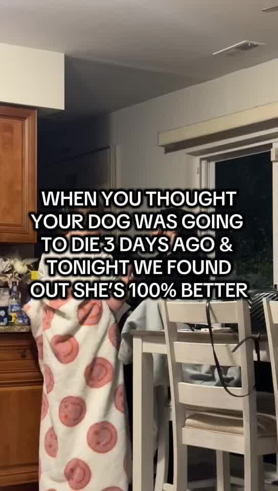 @Stephanie Pearlman