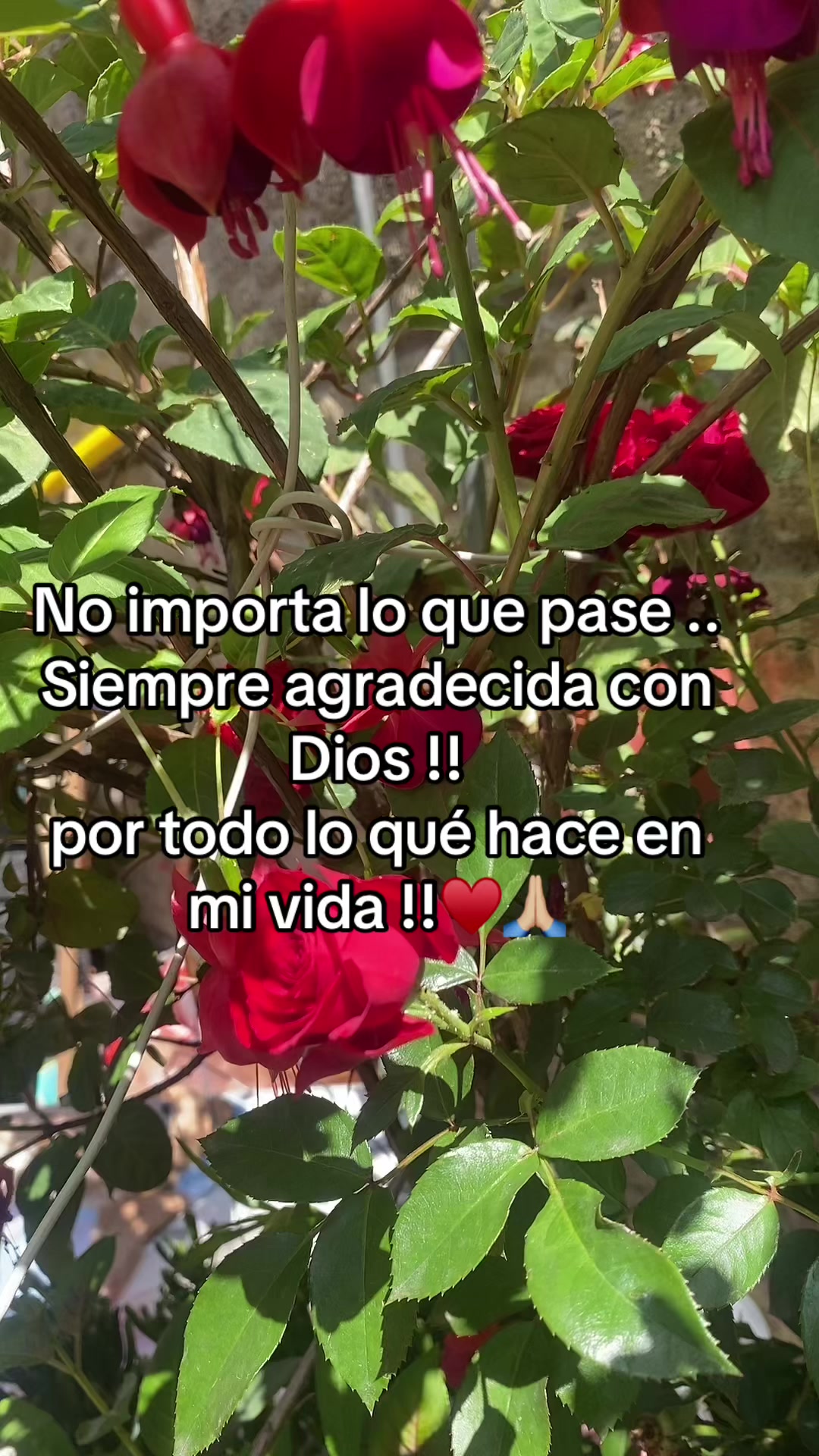 @♾️🔥👑🧸♏️Sand0val😘🫡🏀