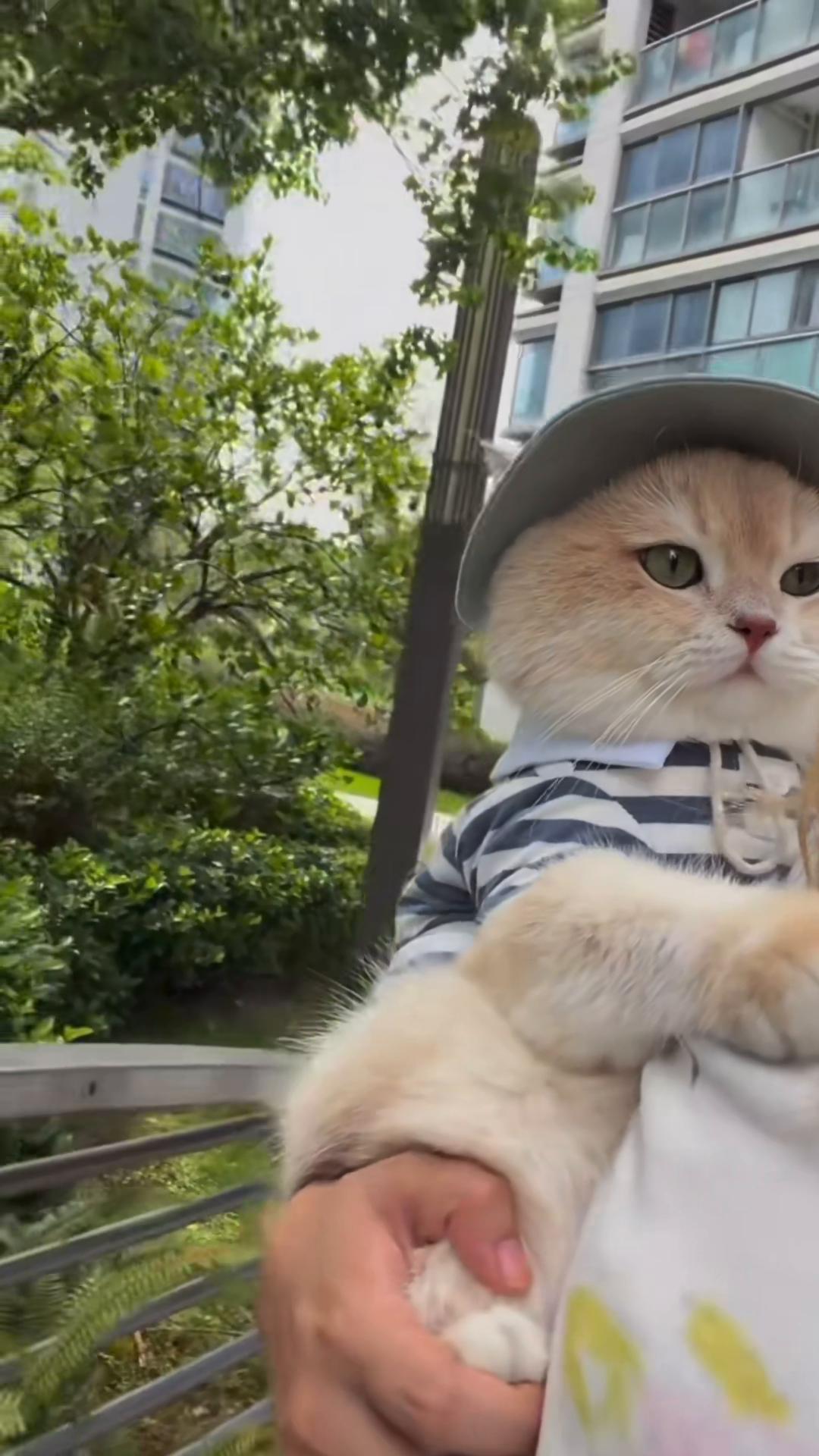 @My Daily Dose of Aww
