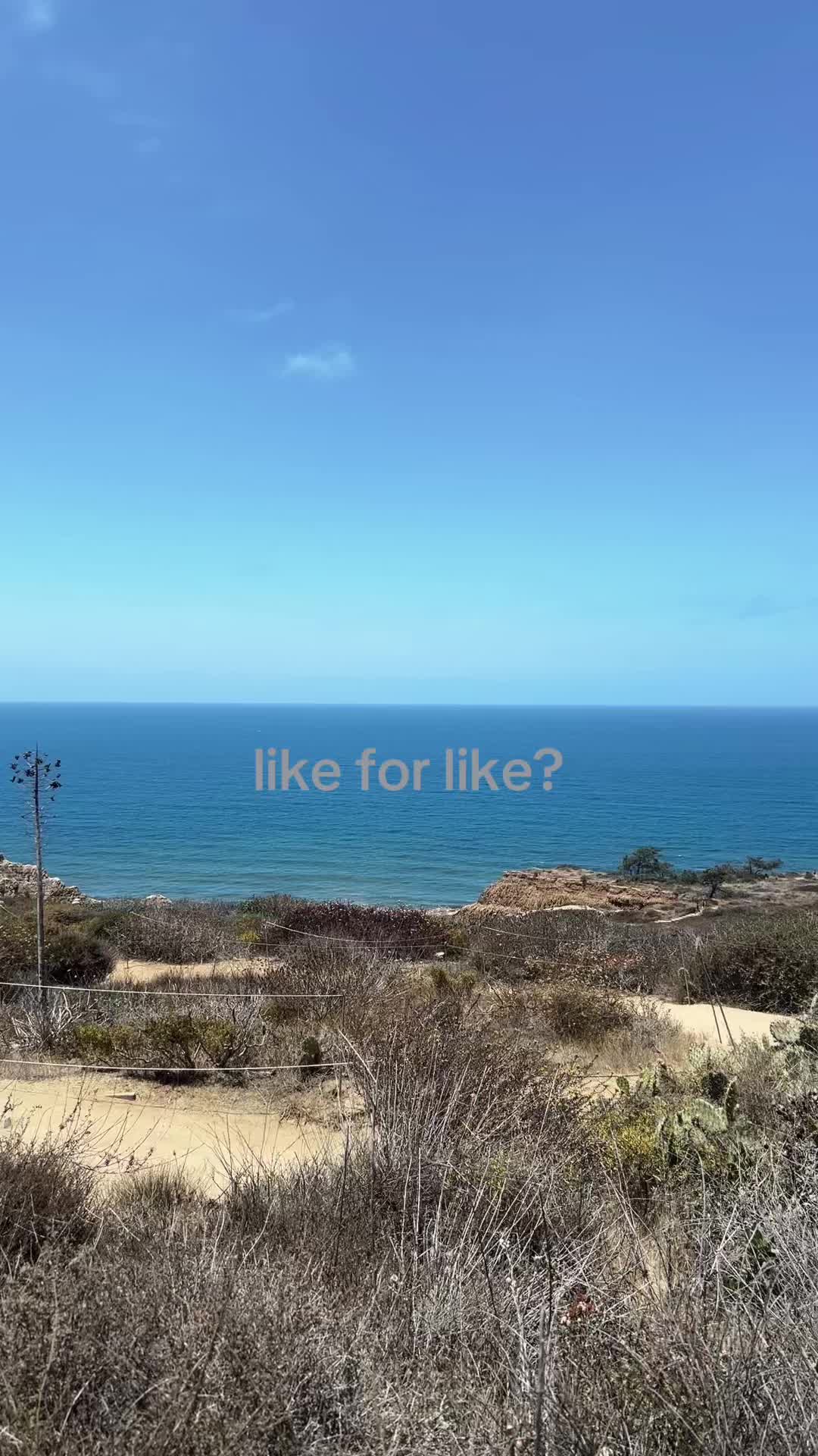 @like my reposts