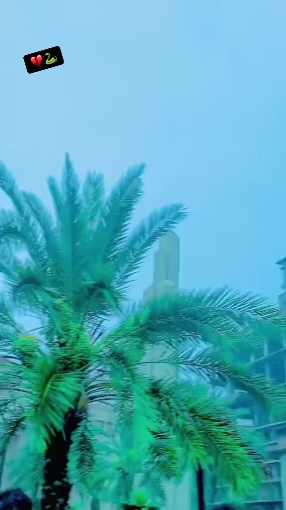 @👑Ҟʱḯ𝒛𝚊ℝ 302🦁