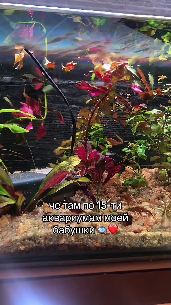 @Мусечко? 👨🏿❤️👨🏿