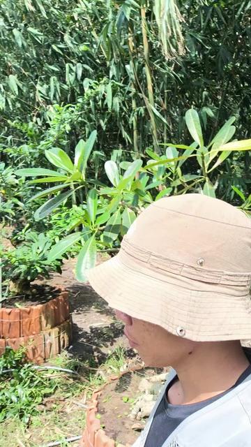 @Tiến Gò công
