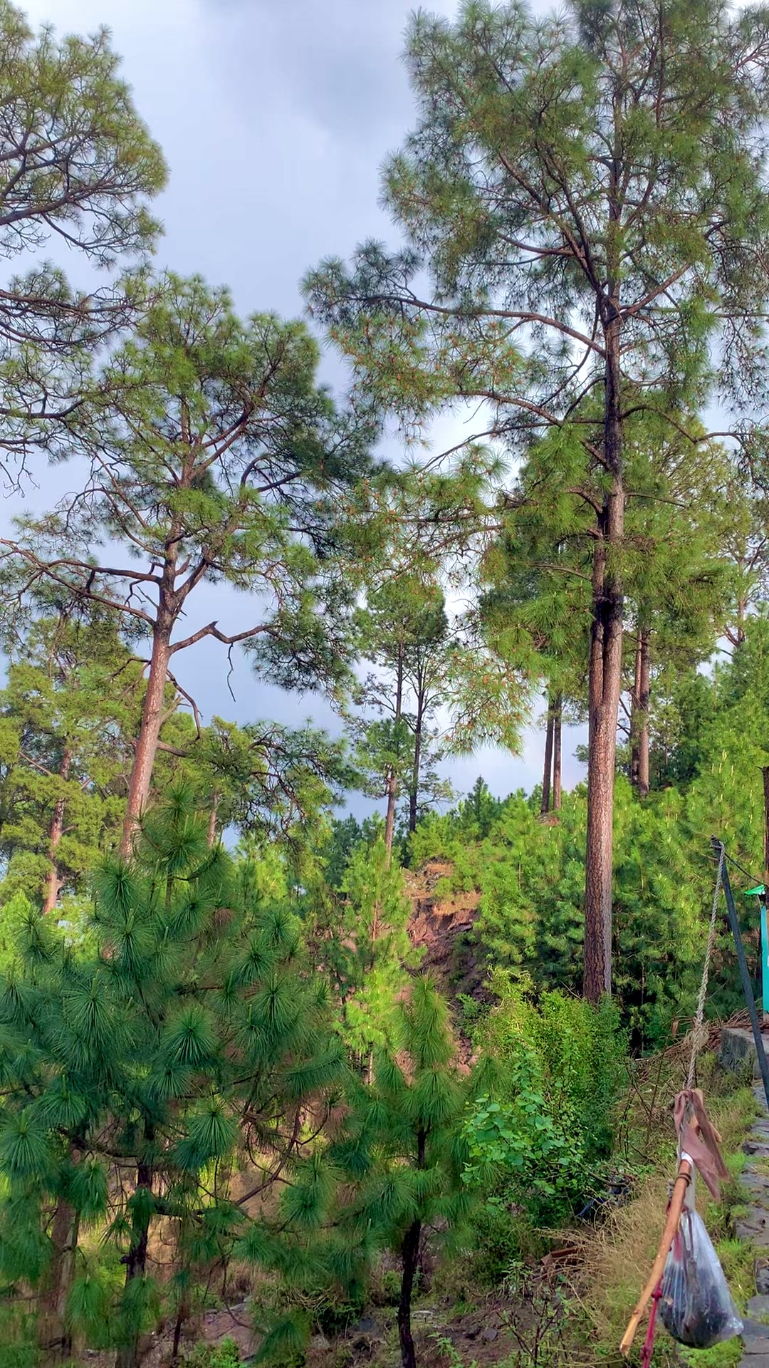@کشمیری لوگ🏔️🦋