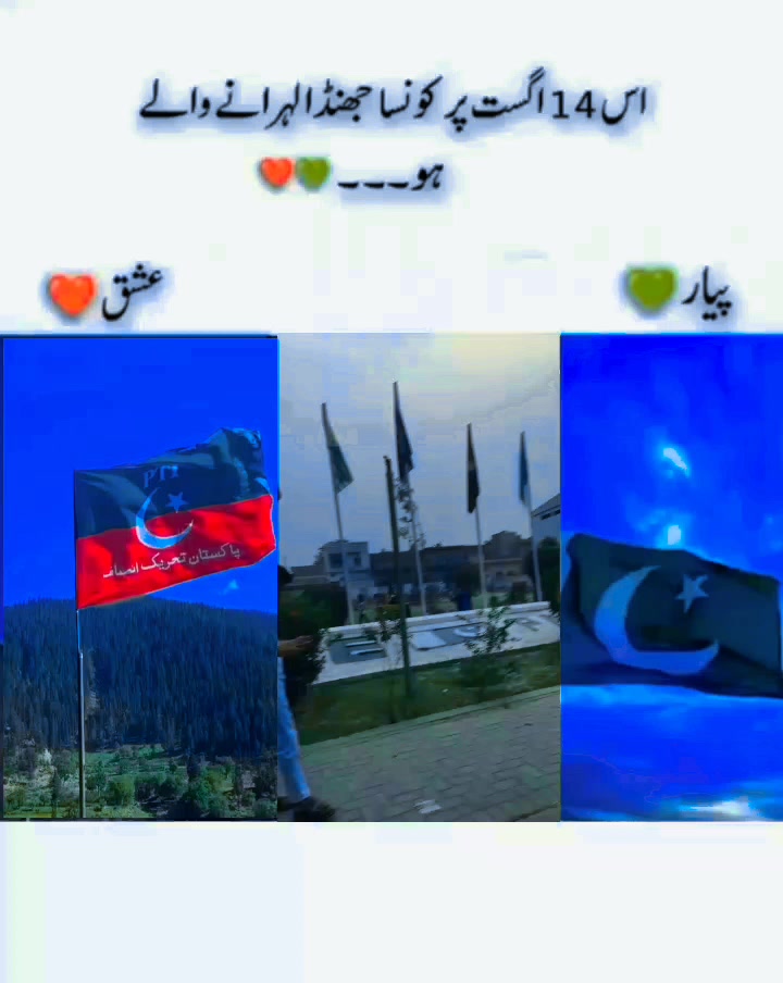 @👑سیٹھ کہتے ہیں👑
