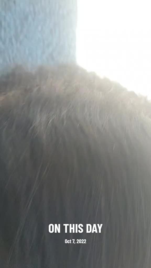 @blueeyedmommabear86