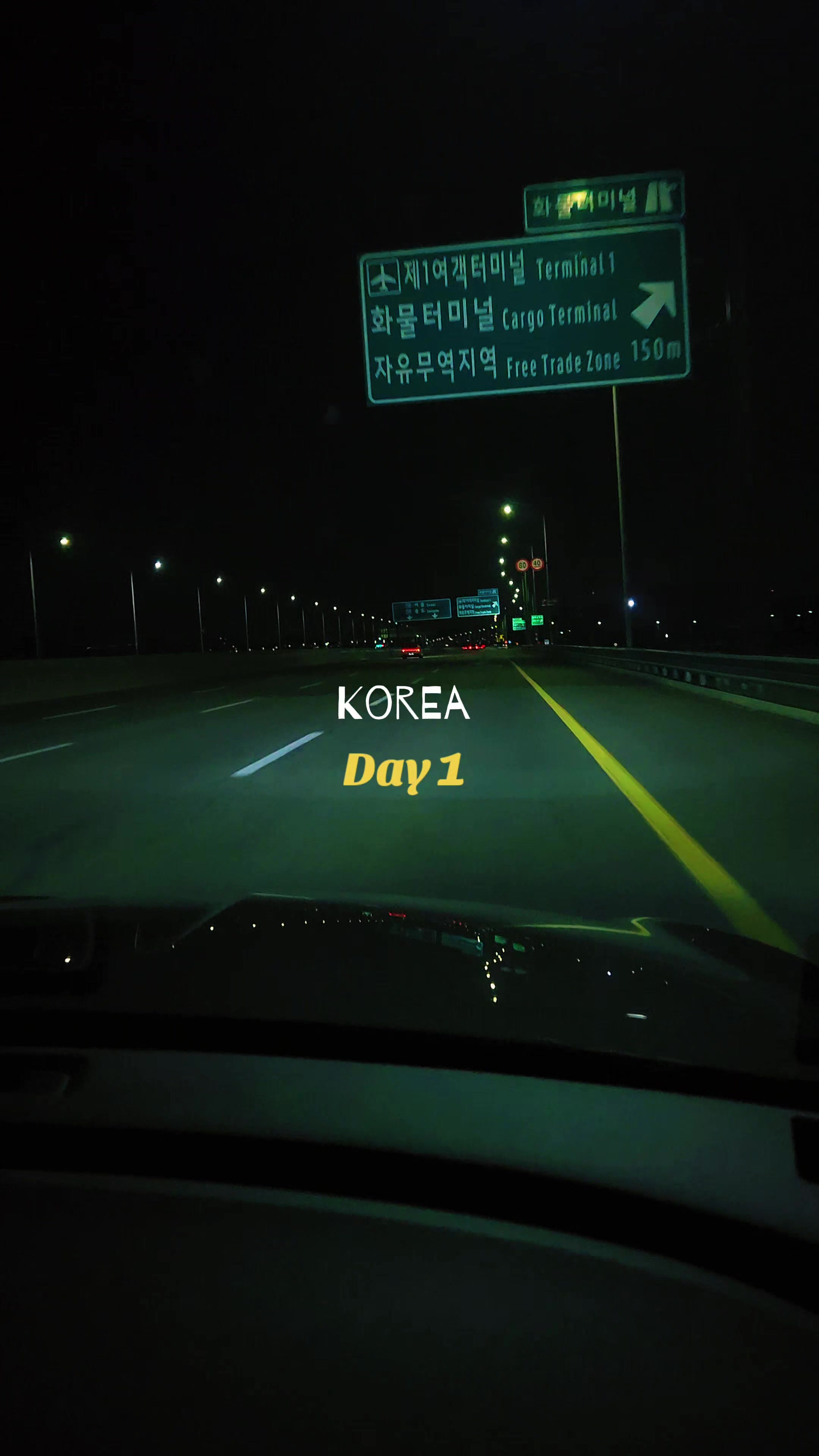 @❄️모모✨️모건❄️