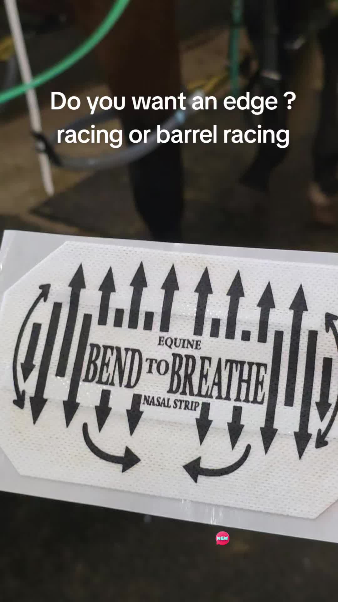 @powerhousemastiff racing