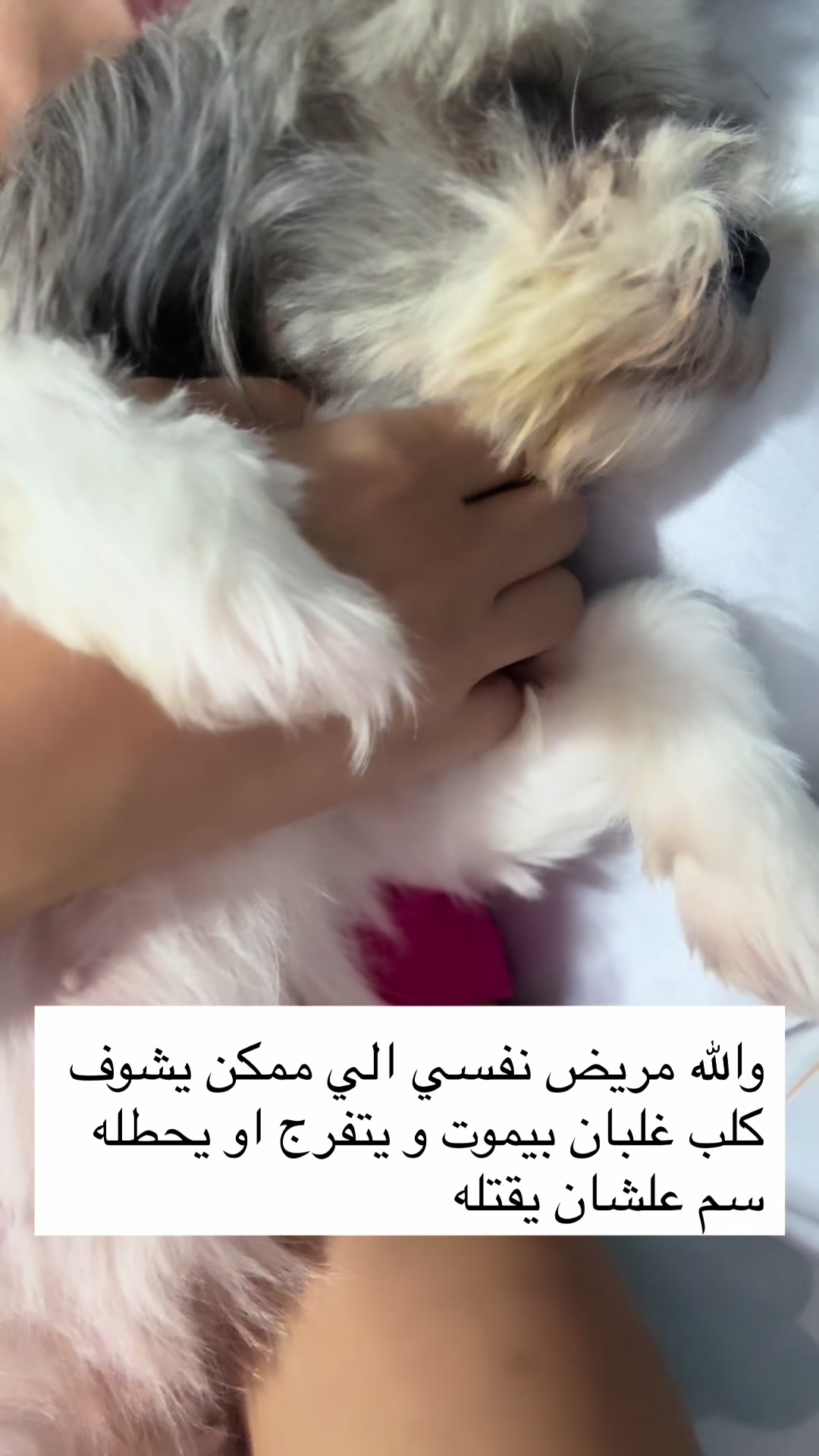 @Jessy Abdelaziz