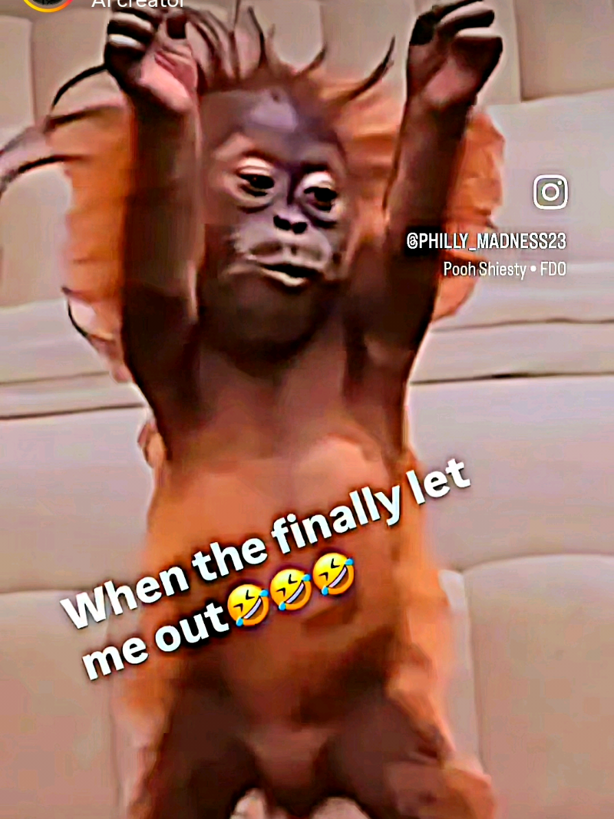 @PACO2FUNNYPRODUCTIONS✨️🇩🇪👑