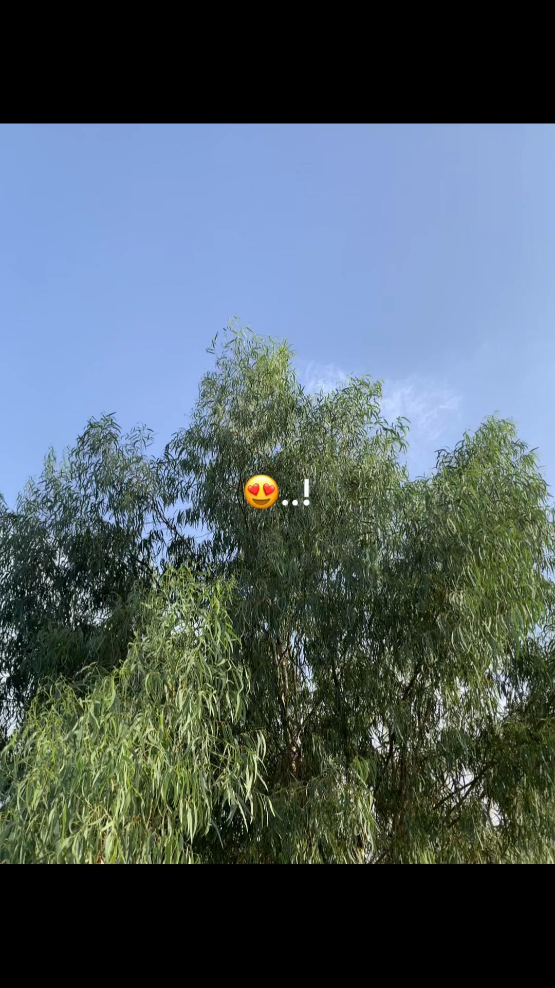 @𝒳𝒮 🇩🇪