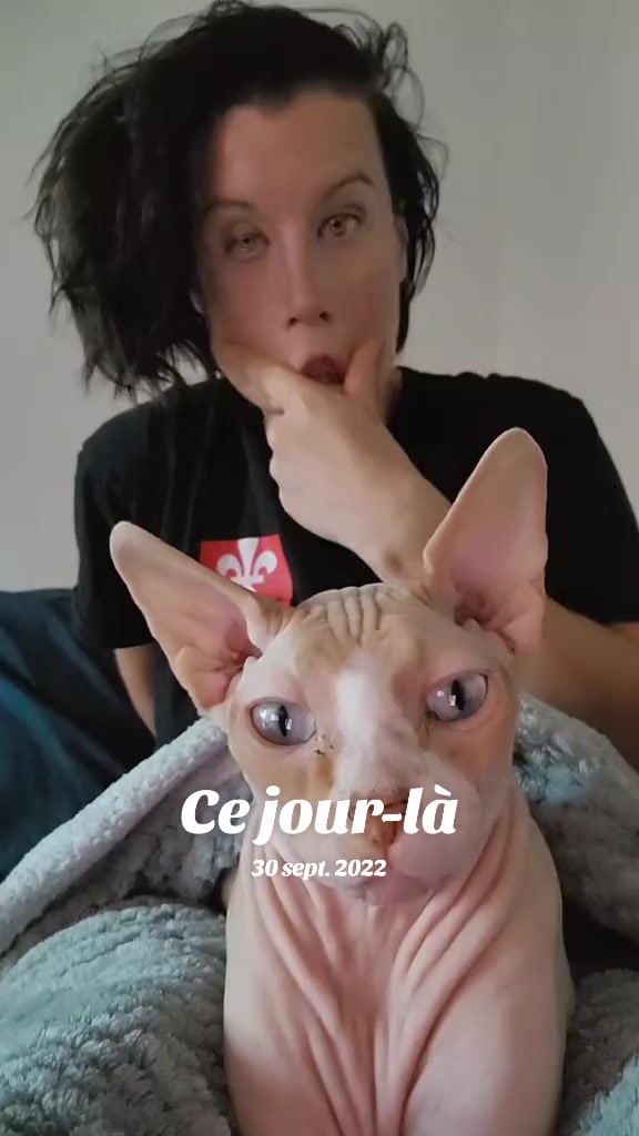 @Amy_dusoleildanstajournee