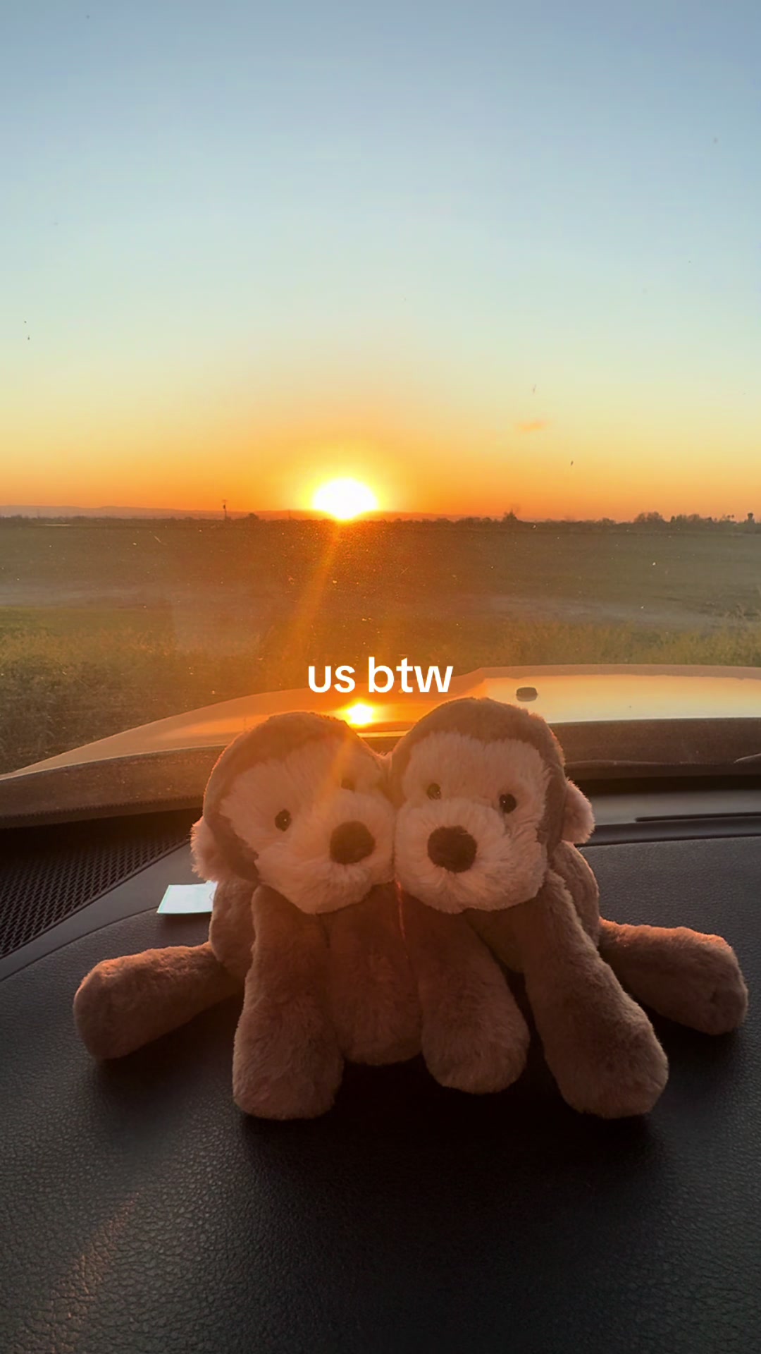 @Tabitha Hart