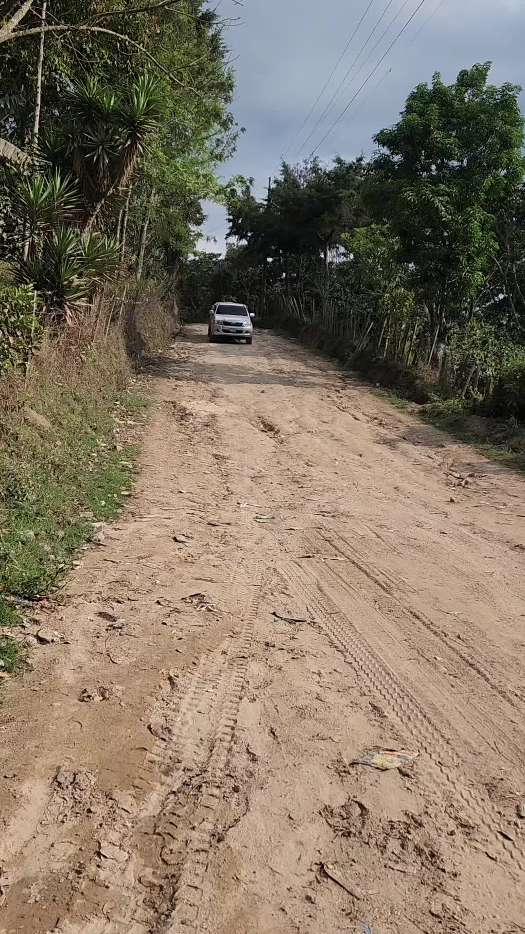 @Wilson L&oacute;pez