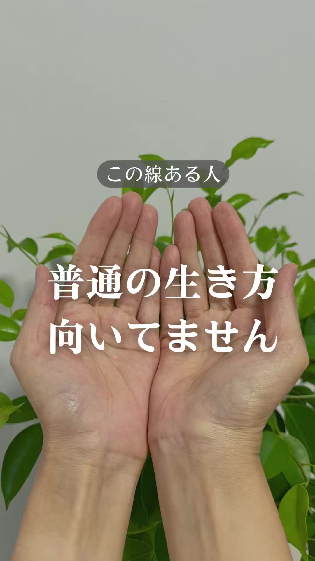 @shizue_tesou