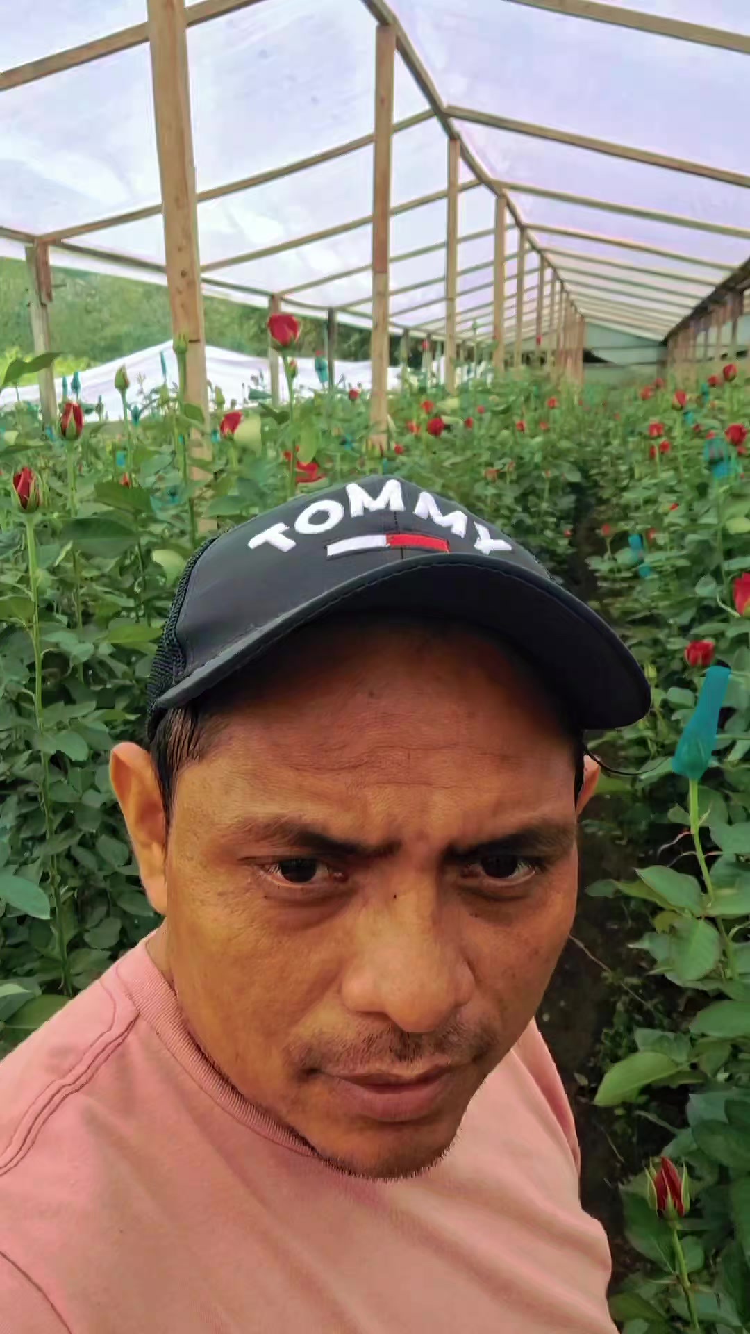 @florería Renace amor