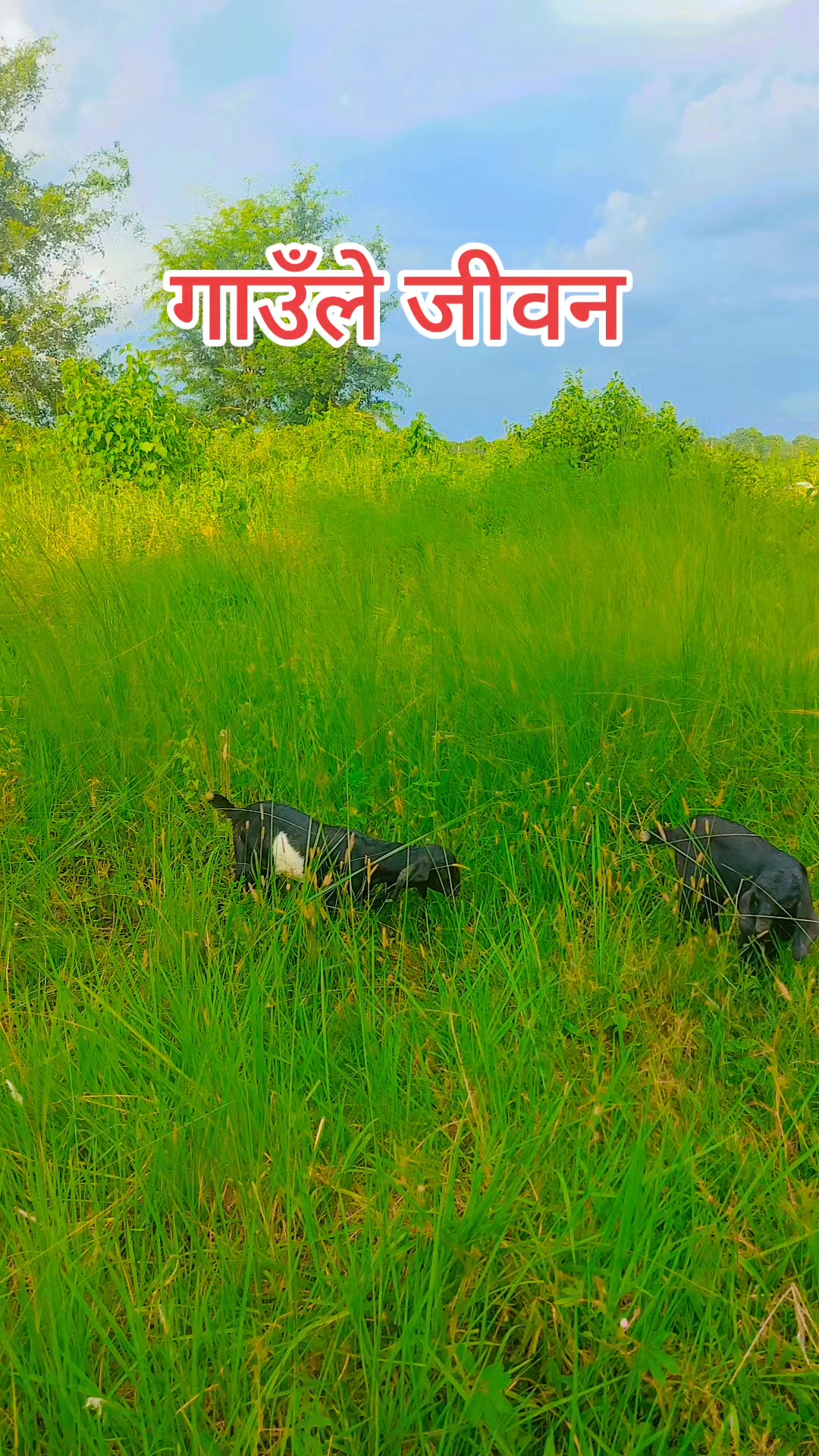 @alone boy