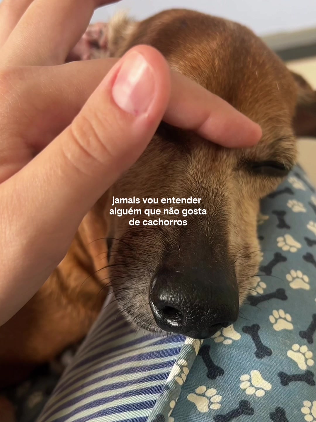 @Mariana