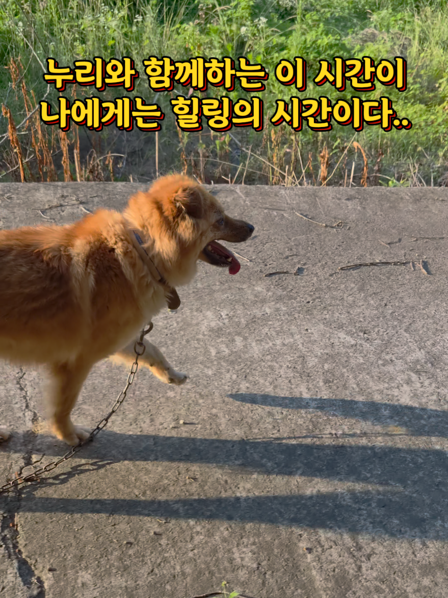 @지니힐즈