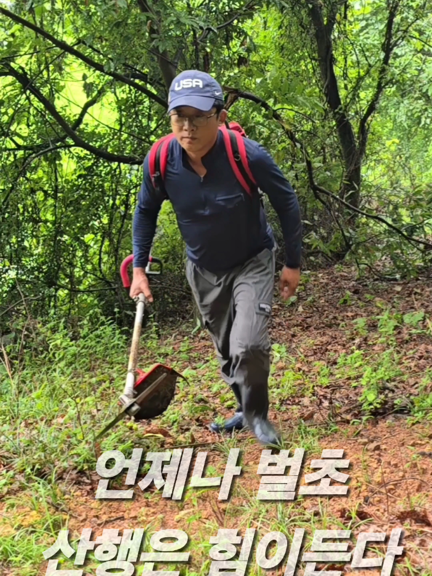 @유튜브 윤파머 납작복숭아