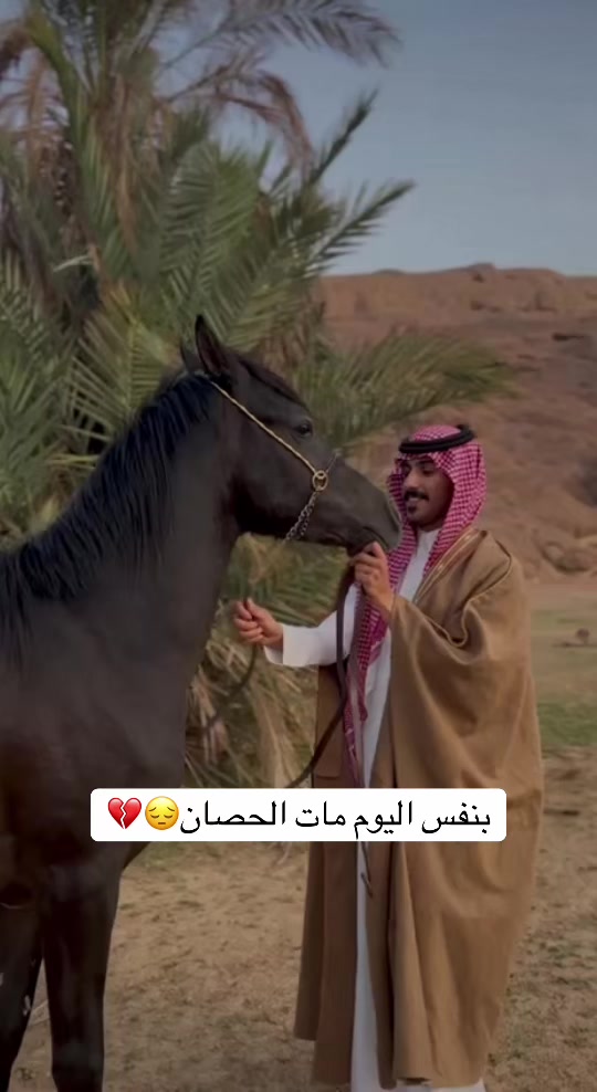 @سلطان بن عراكـ🌟