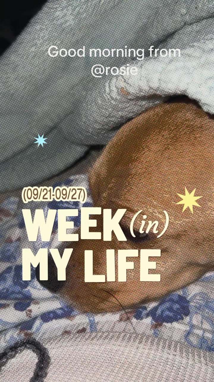 @Rosie the Beagle 🇺🇸🥰 🌞