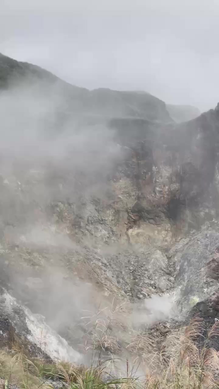 @雀芮若