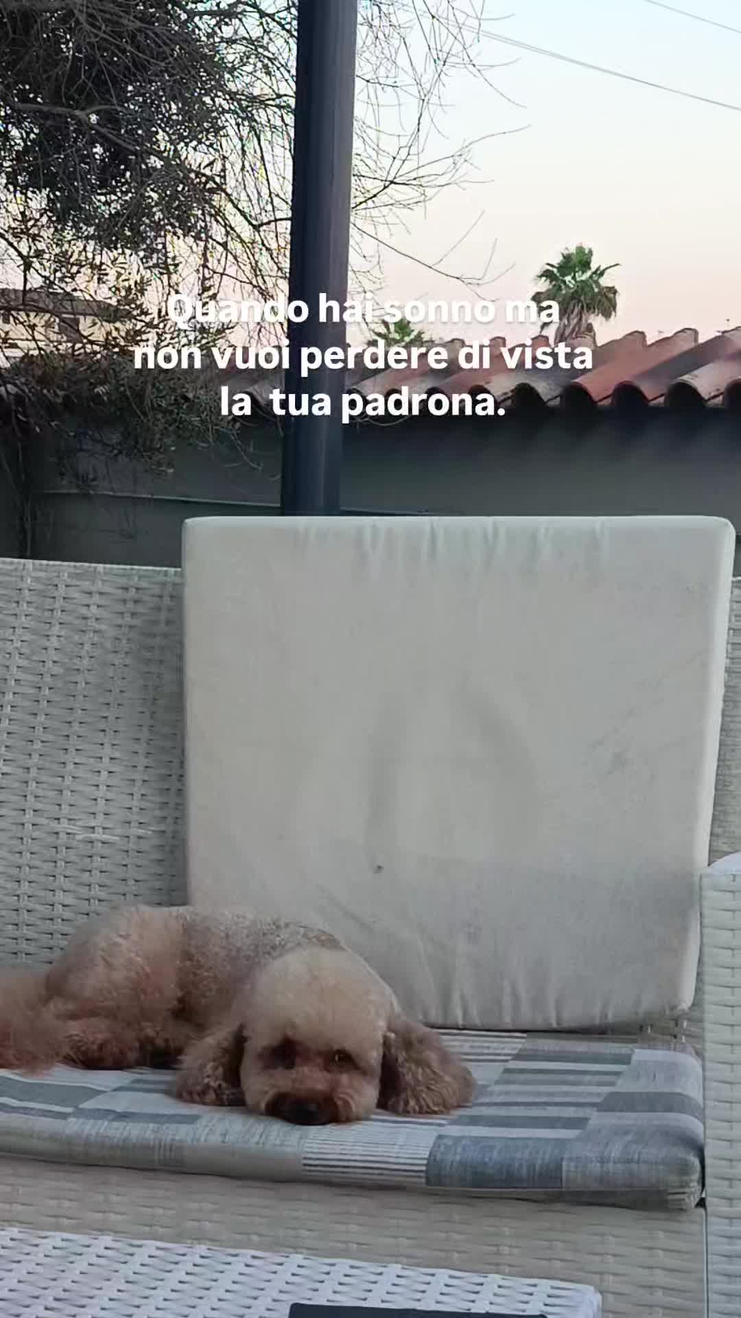 @Momenti Deliziosi
